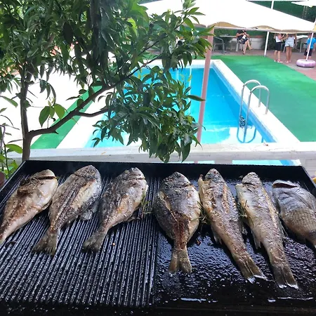 Hotel Biodenge Butik Armutlu